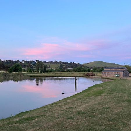 Mansfield Holiday Park Exterior photo